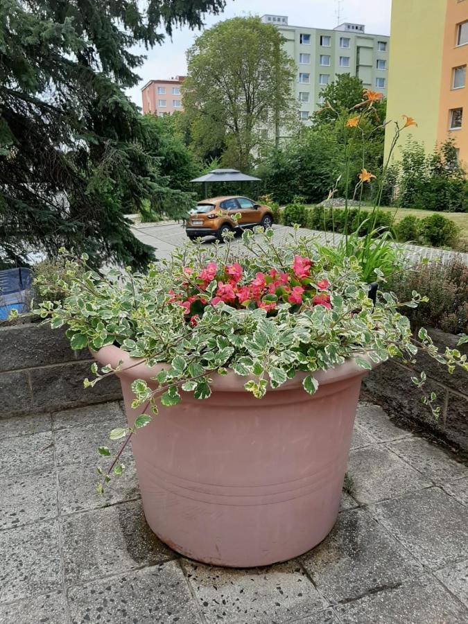 Kvetinovy Apartman A3B V Chomutove Zewnętrze zdjęcie
